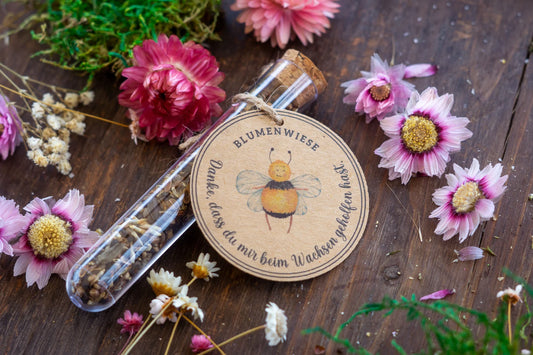 Reagenzglas, Geschenk Erzieher, Mitbringsel, Blumensamen, statt Blumen, nachhaltig, Geschenk Hebamme